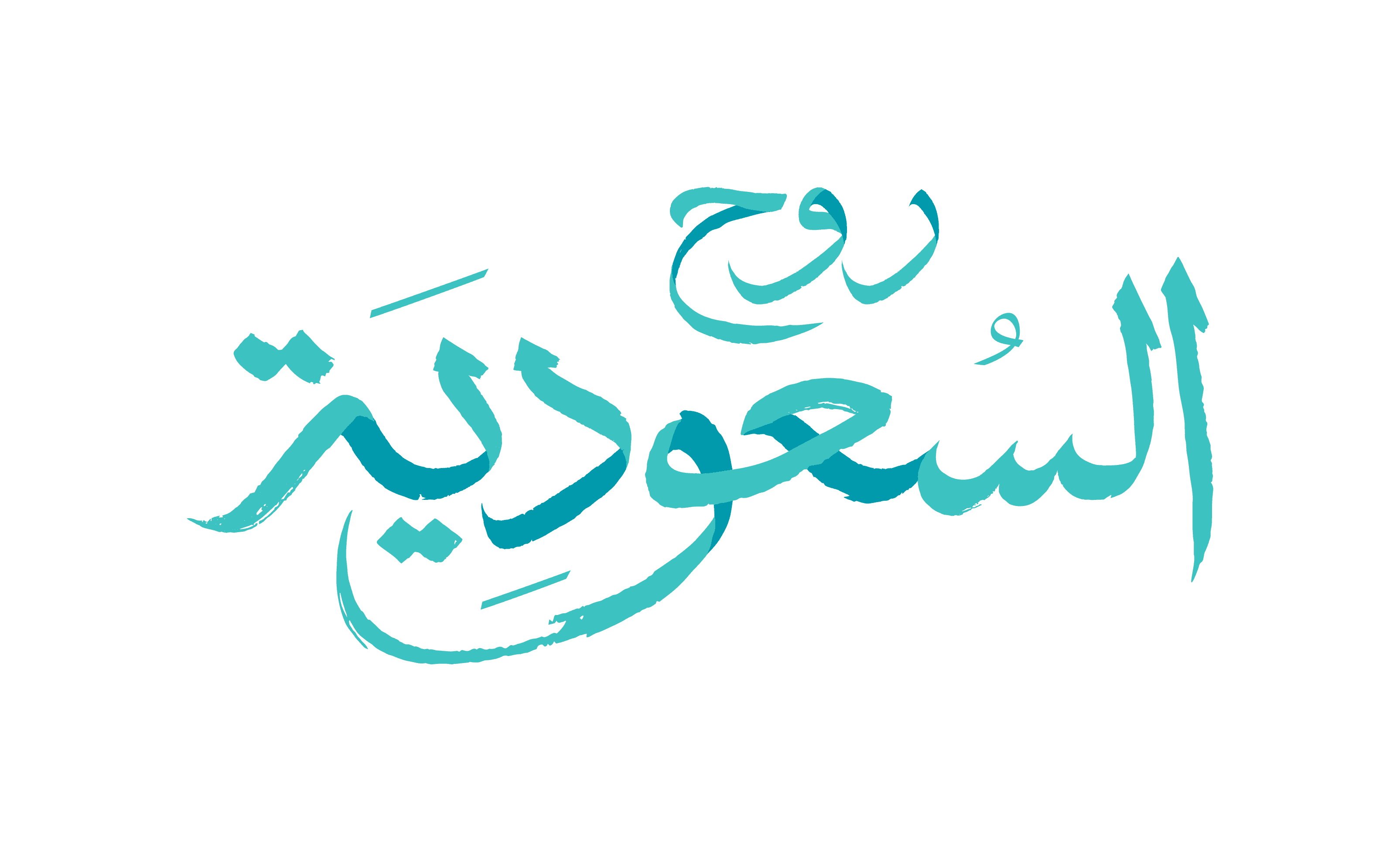 rajhi bank